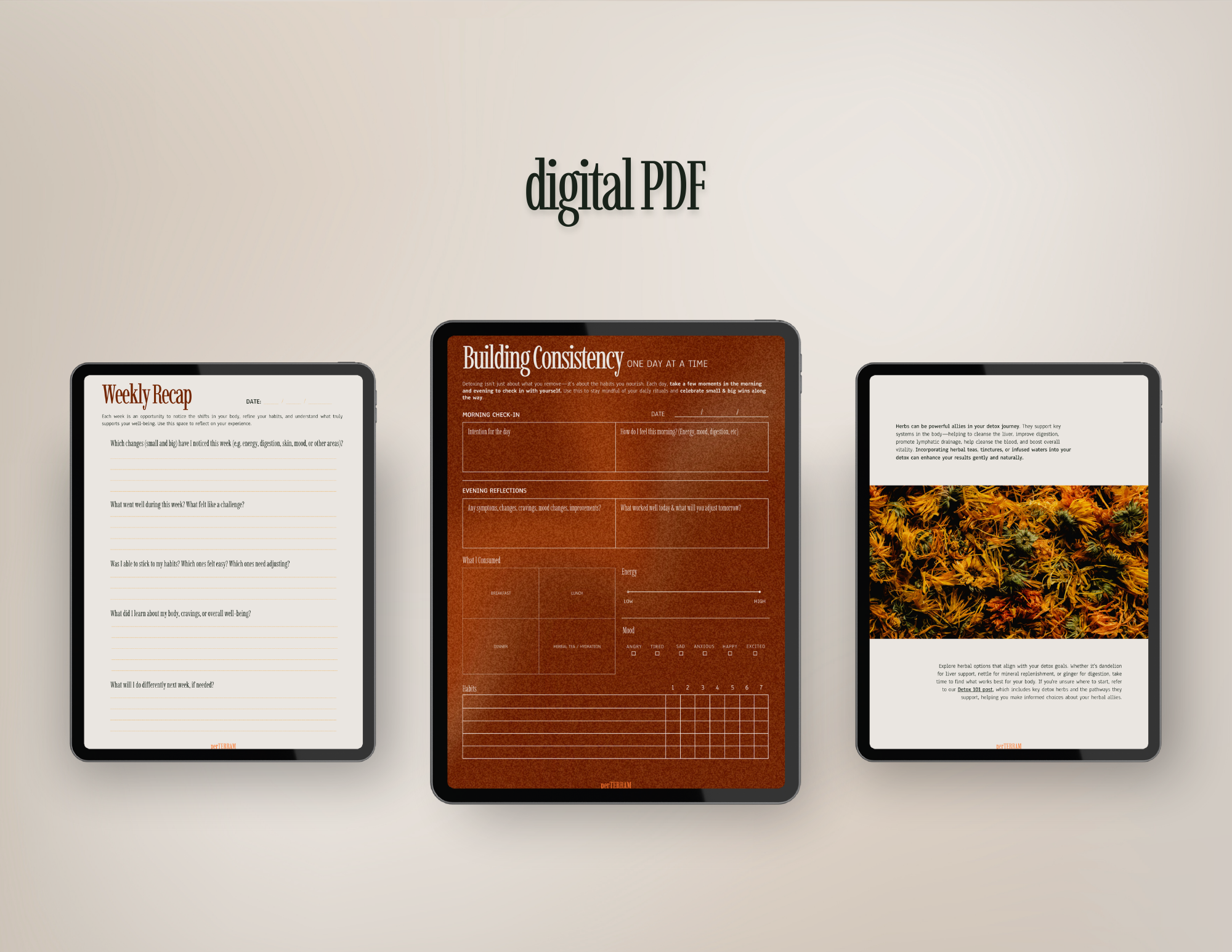 Detox Planner & Journal
