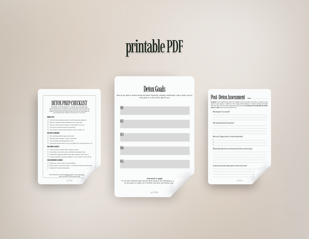 Detox Planner & Journal