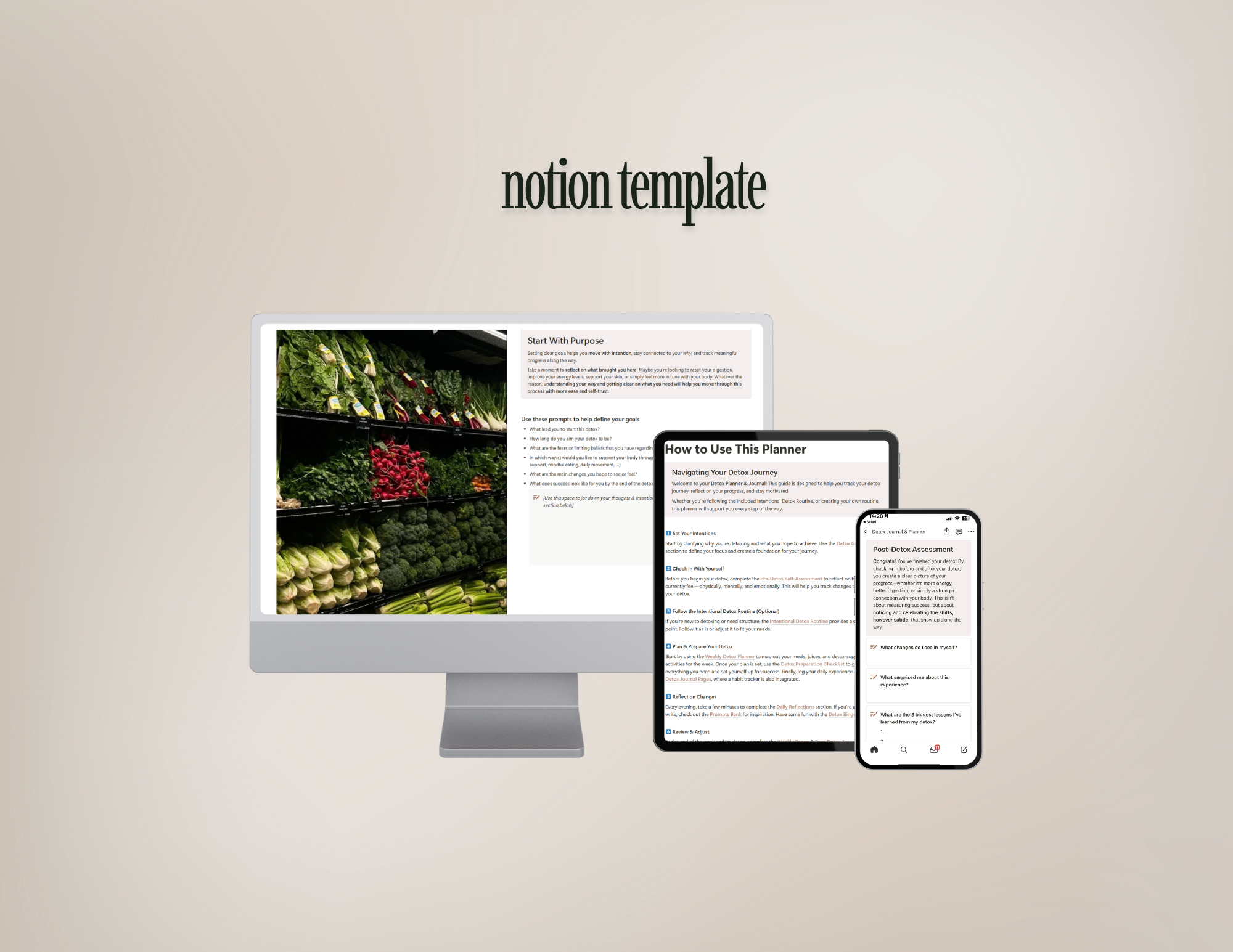 Detox Planner & Journal