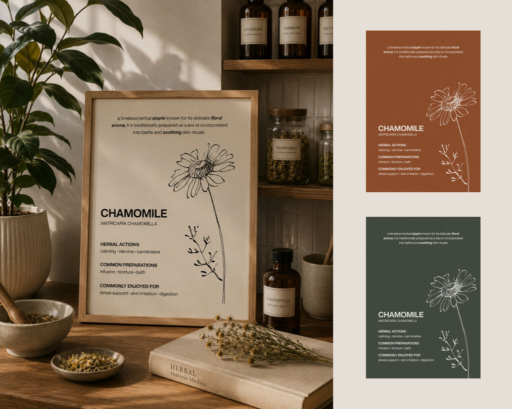 The Essential Herbs Collection | Digital Botanical Prints