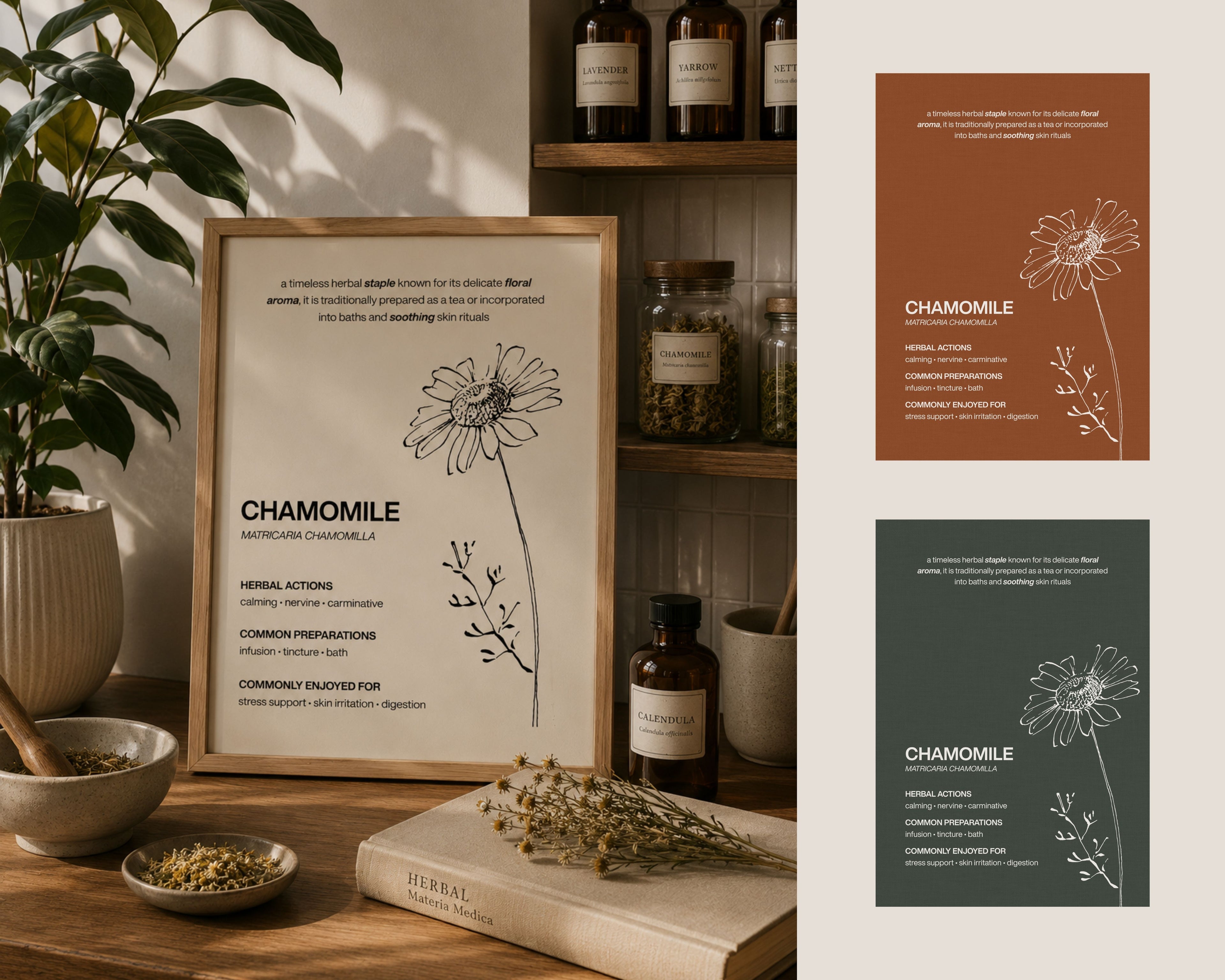 The Essential Herbs Collection | Digital Botanical Prints