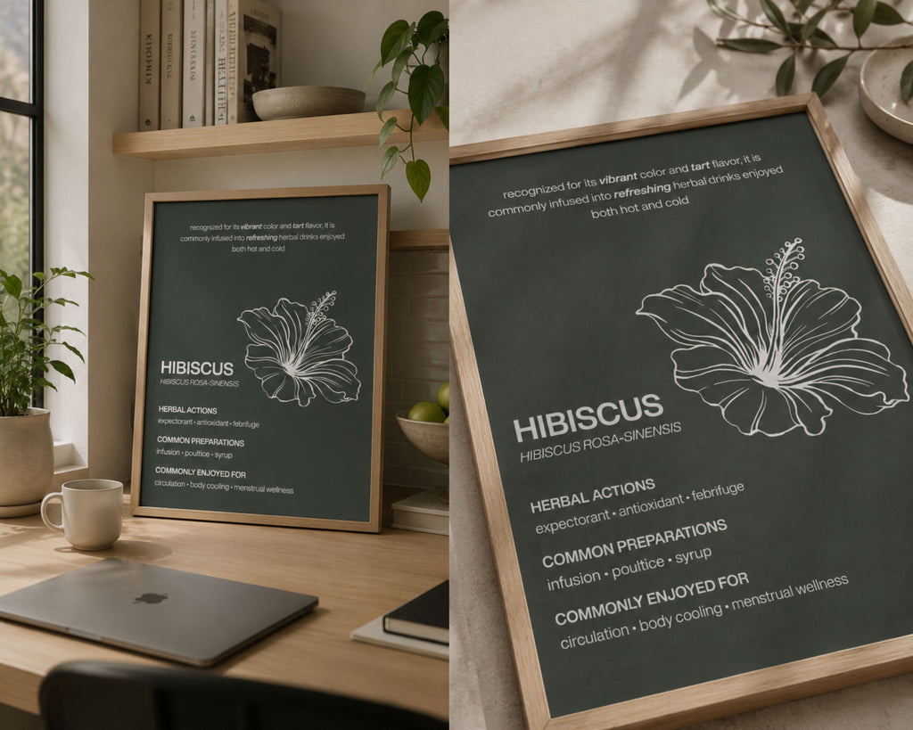 The Essential Herbs Collection | Digital Botanical Prints