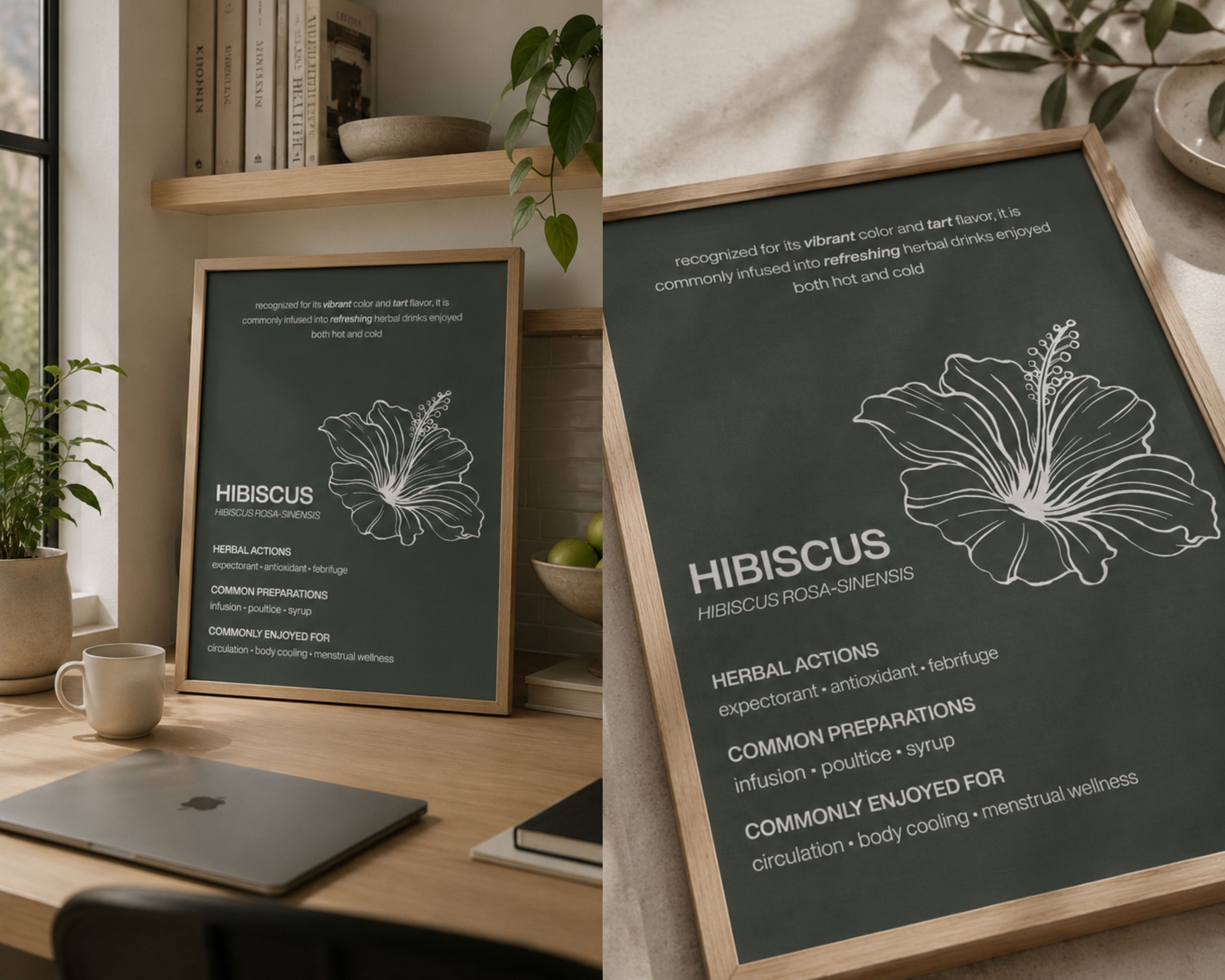 The Essential Herbs Collection | Digital Botanical Prints