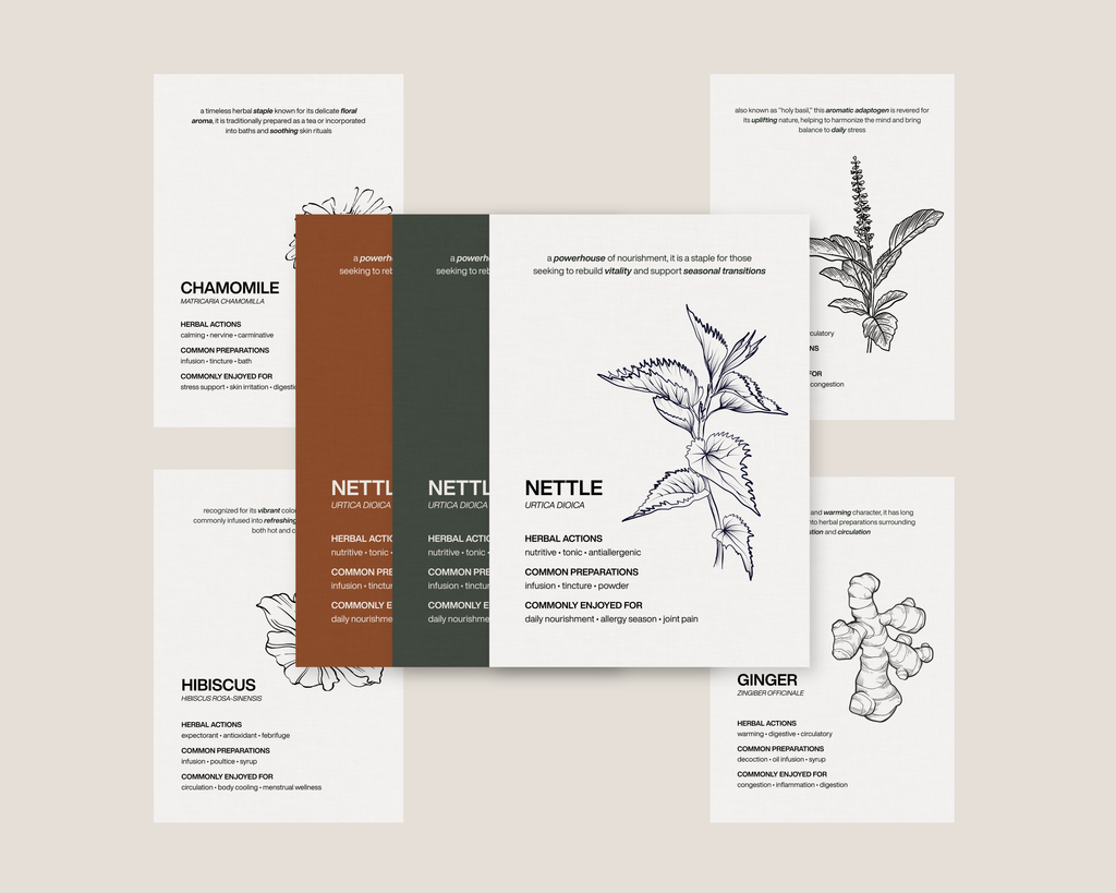 The Essential Herbs Collection | Digital Botanical Prints