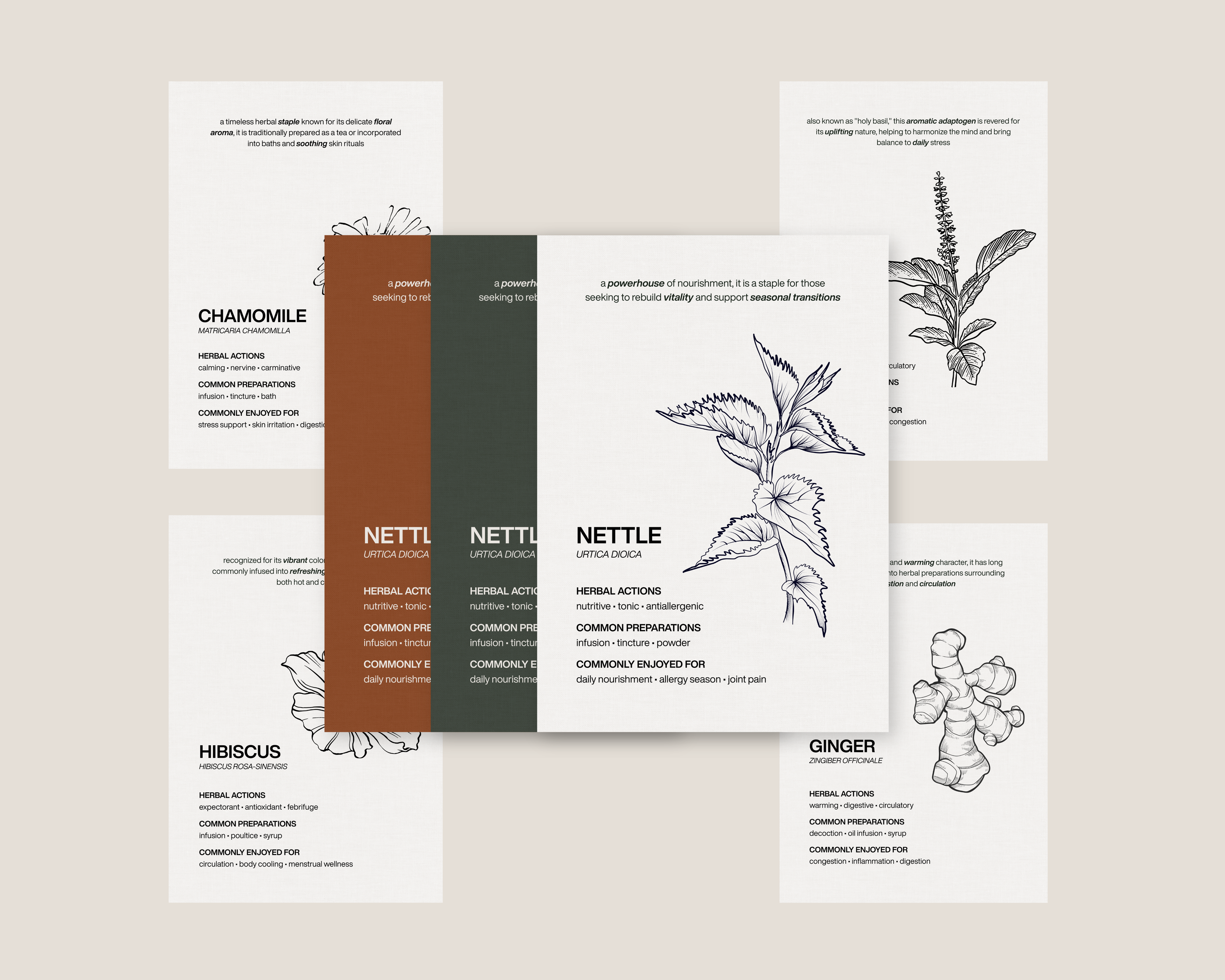 The Essential Herbs Collection | Digital Botanical Prints