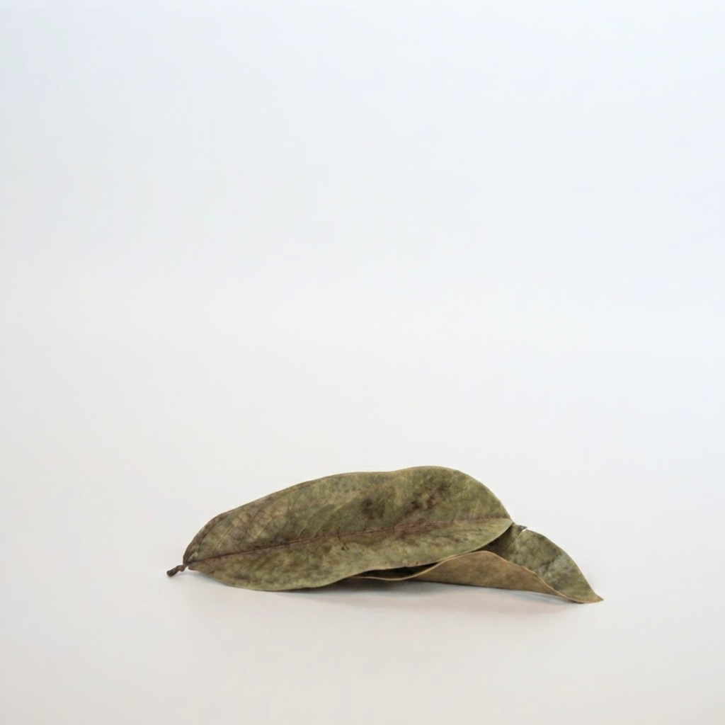 Soursop Leaves