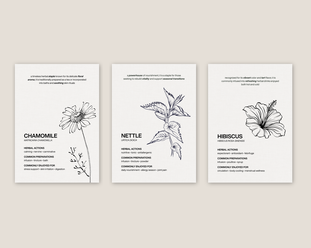 The Essential Herbs Collection | Digital Botanical Prints