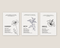 The Essential Herbs Collection | Digital Botanical Prints