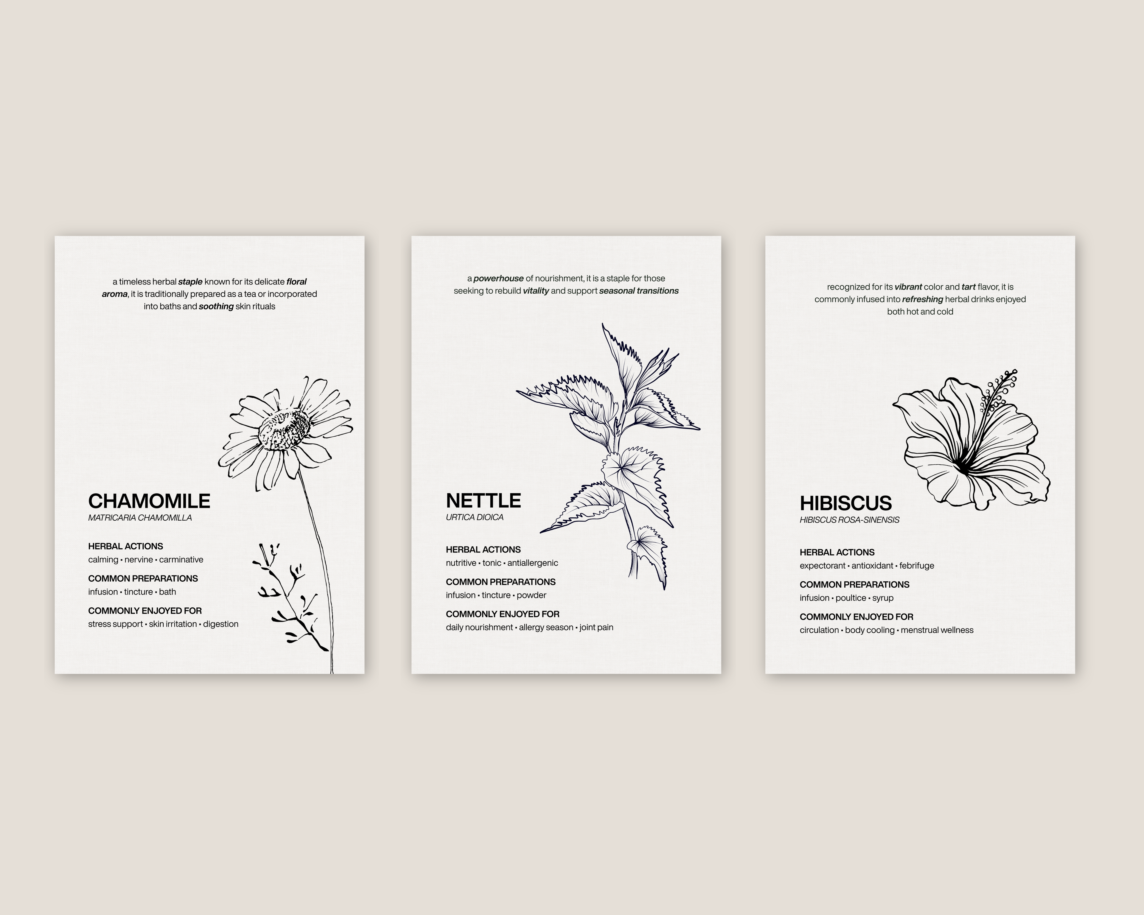 The Essential Herbs Collection | Digital Botanical Prints
