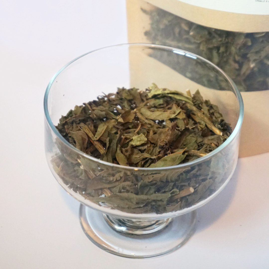 Vervain